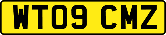 WT09CMZ