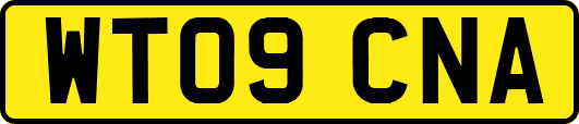 WT09CNA