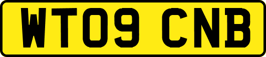 WT09CNB