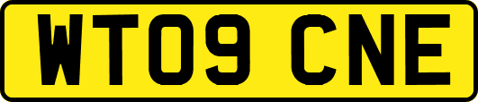 WT09CNE