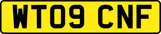 WT09CNF