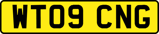 WT09CNG