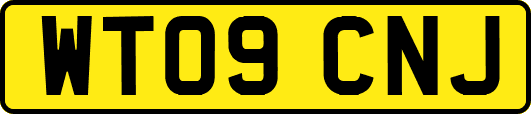 WT09CNJ