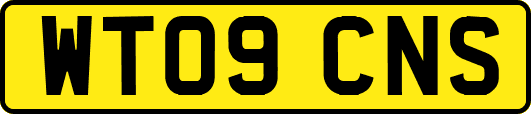 WT09CNS
