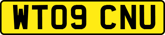 WT09CNU
