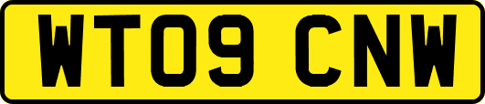 WT09CNW