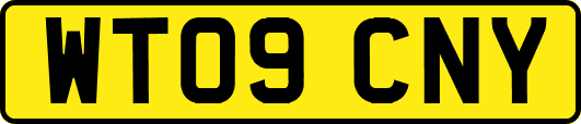 WT09CNY