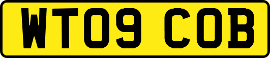 WT09COB