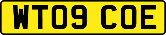 WT09COE