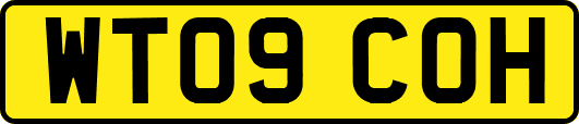 WT09COH