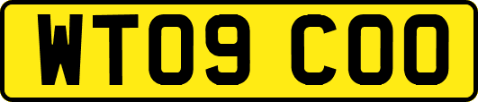 WT09COO