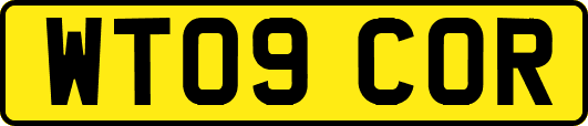 WT09COR
