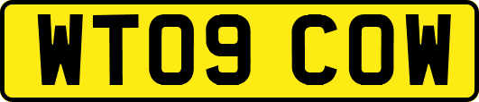 WT09COW