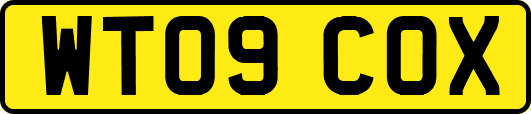 WT09COX