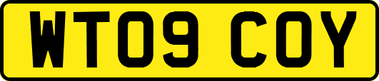 WT09COY