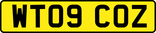 WT09COZ