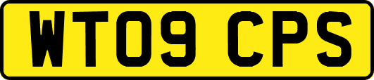 WT09CPS