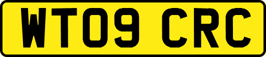 WT09CRC