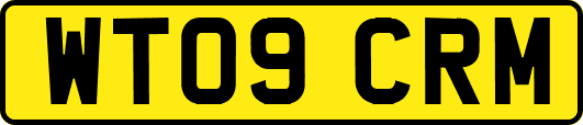 WT09CRM