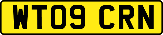 WT09CRN