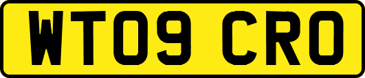 WT09CRO