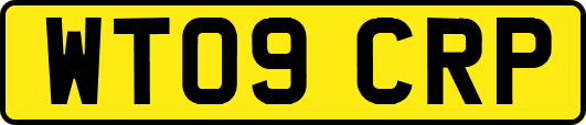 WT09CRP