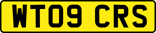 WT09CRS