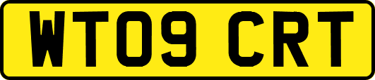 WT09CRT