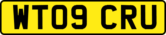 WT09CRU