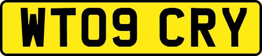 WT09CRY