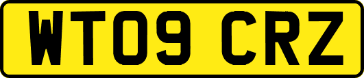 WT09CRZ
