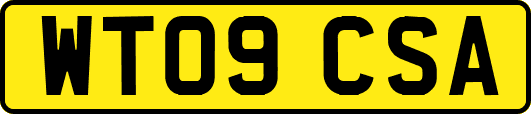 WT09CSA