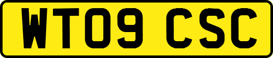 WT09CSC