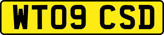 WT09CSD