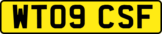 WT09CSF