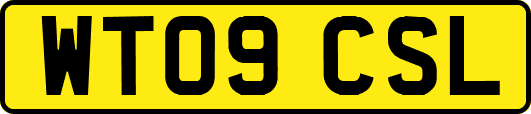 WT09CSL