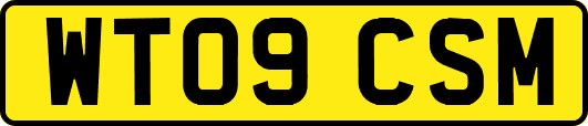 WT09CSM