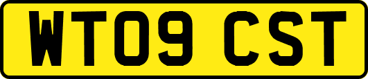 WT09CST