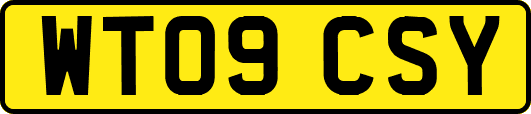 WT09CSY