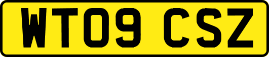 WT09CSZ