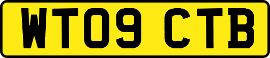WT09CTB