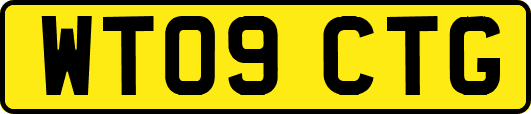WT09CTG