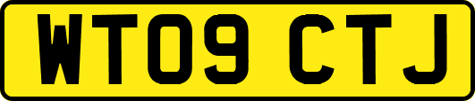 WT09CTJ