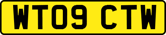 WT09CTW
