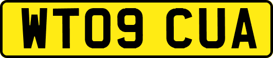 WT09CUA