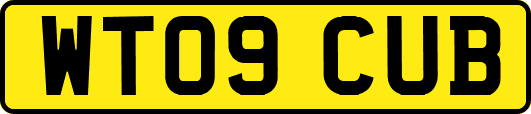 WT09CUB