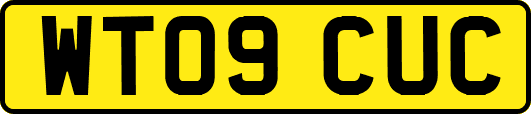WT09CUC