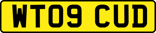 WT09CUD