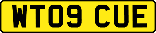WT09CUE