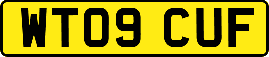 WT09CUF